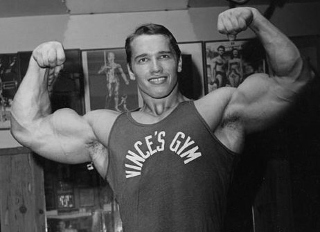 arnold schwarzenegger workout routine